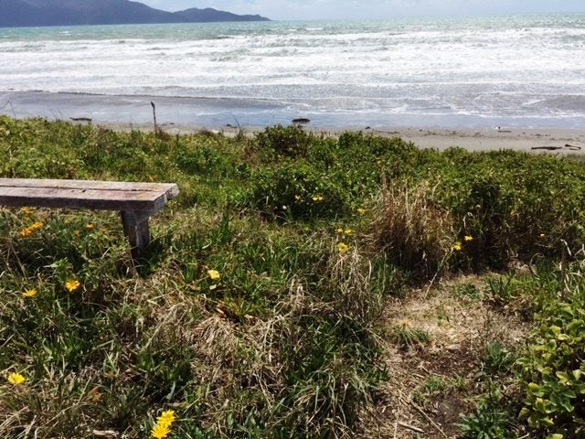131 Tutere Street, Waikanae Beach, Waikanae - Carousel 1