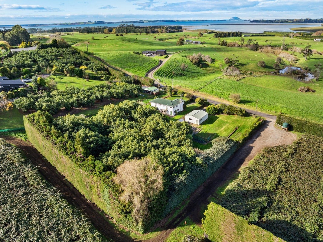 91 Morton Road, Aongatete, Katikati - Carousel 33