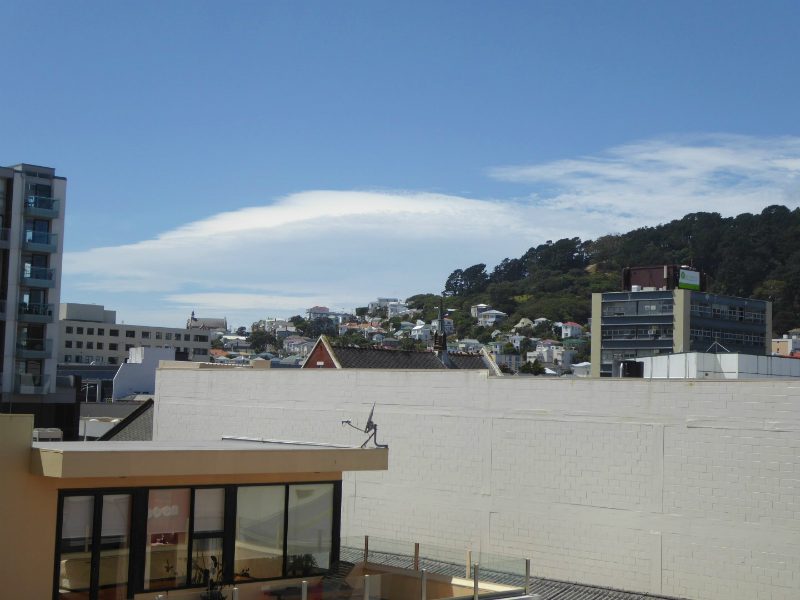 41/13 College Street, Te Aro, Wellington - Carousel 12