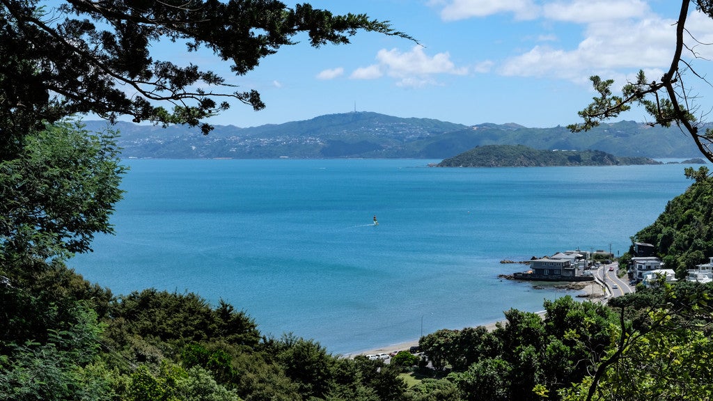 17 PITOITOI RD, DAYS BAY, EASTBOURNE - Carousel 20