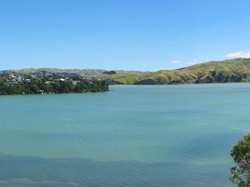 45 Bosun Terrace, Whitby, Porirua - Carousel 26