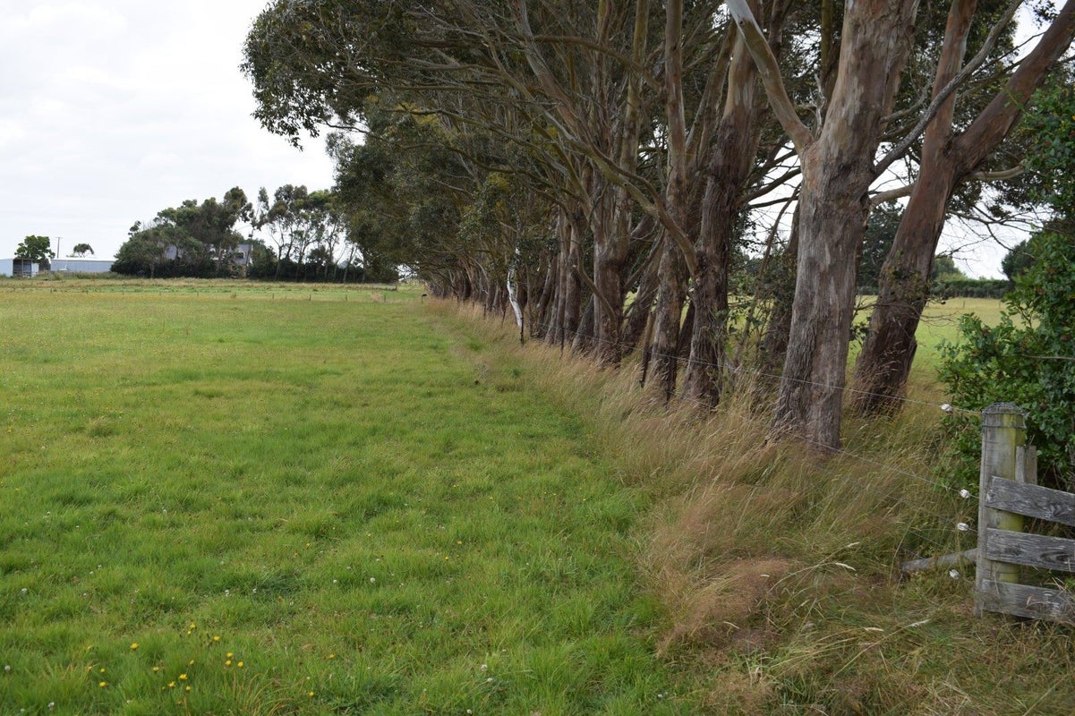 121 Redmayne Road, Waihopai, Invercargill - Carousel 2