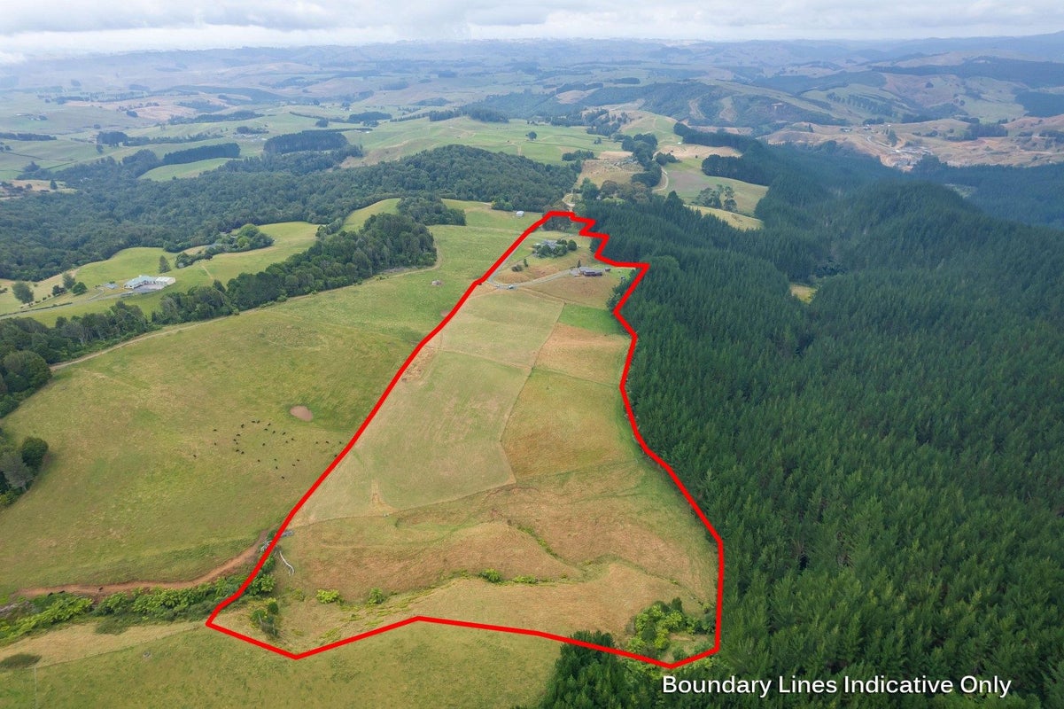 88 Scott Rd, Te Awamutu, Waipa, Waikato - Carousel 37