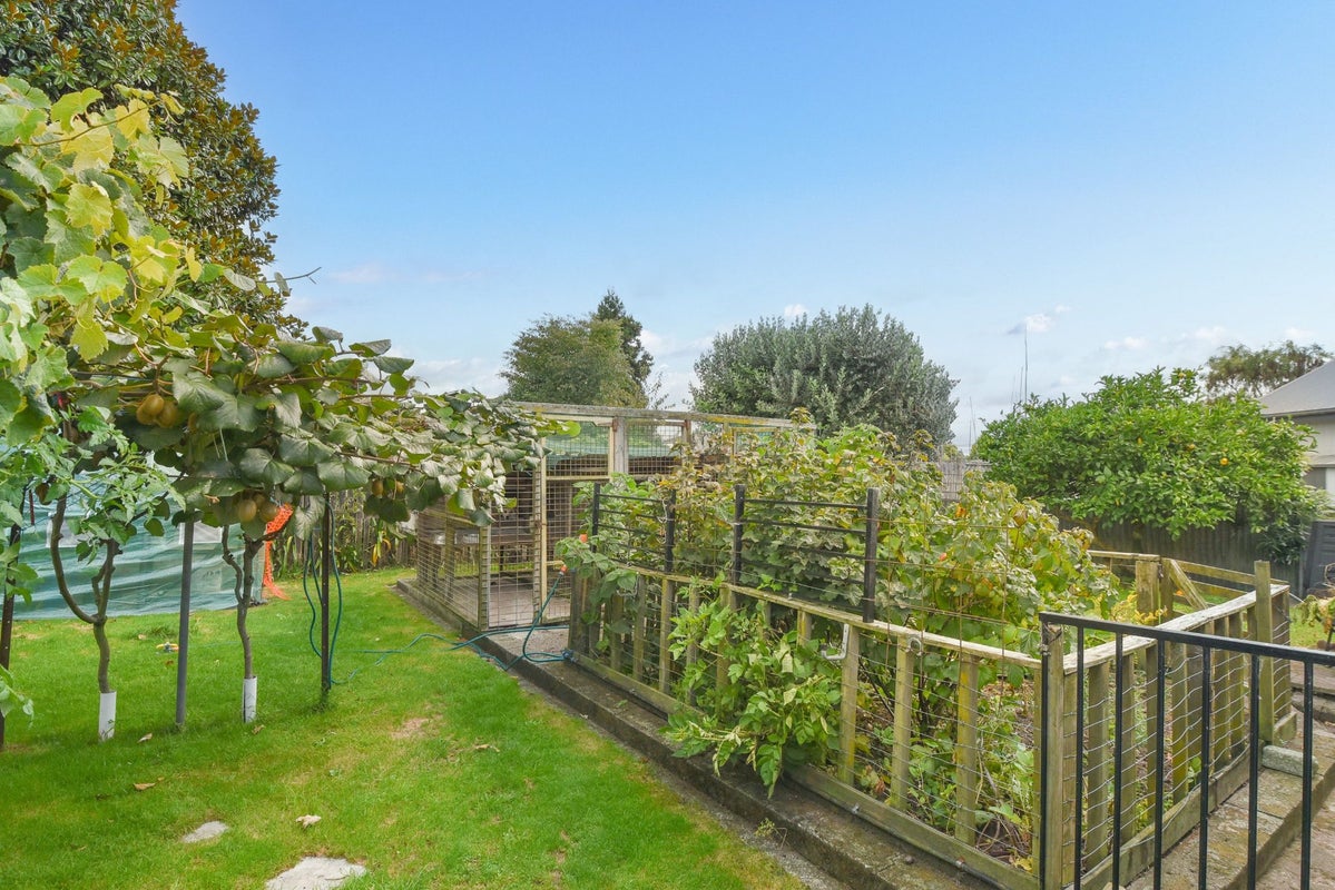3 Caledonia Road, Ngongotaha, Rotorua - Carousel 22