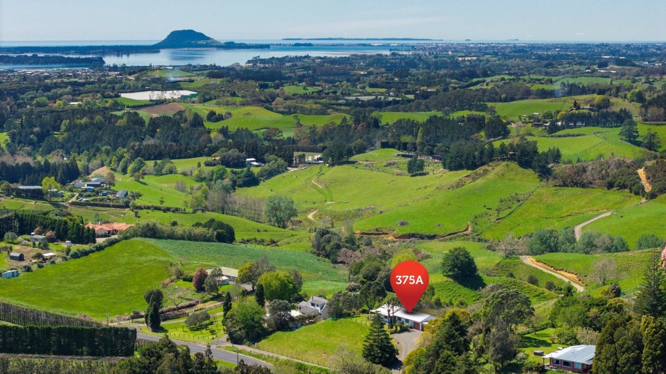 375A Esdaile Road, Whakamarama, Whakamarama - Carousel 2