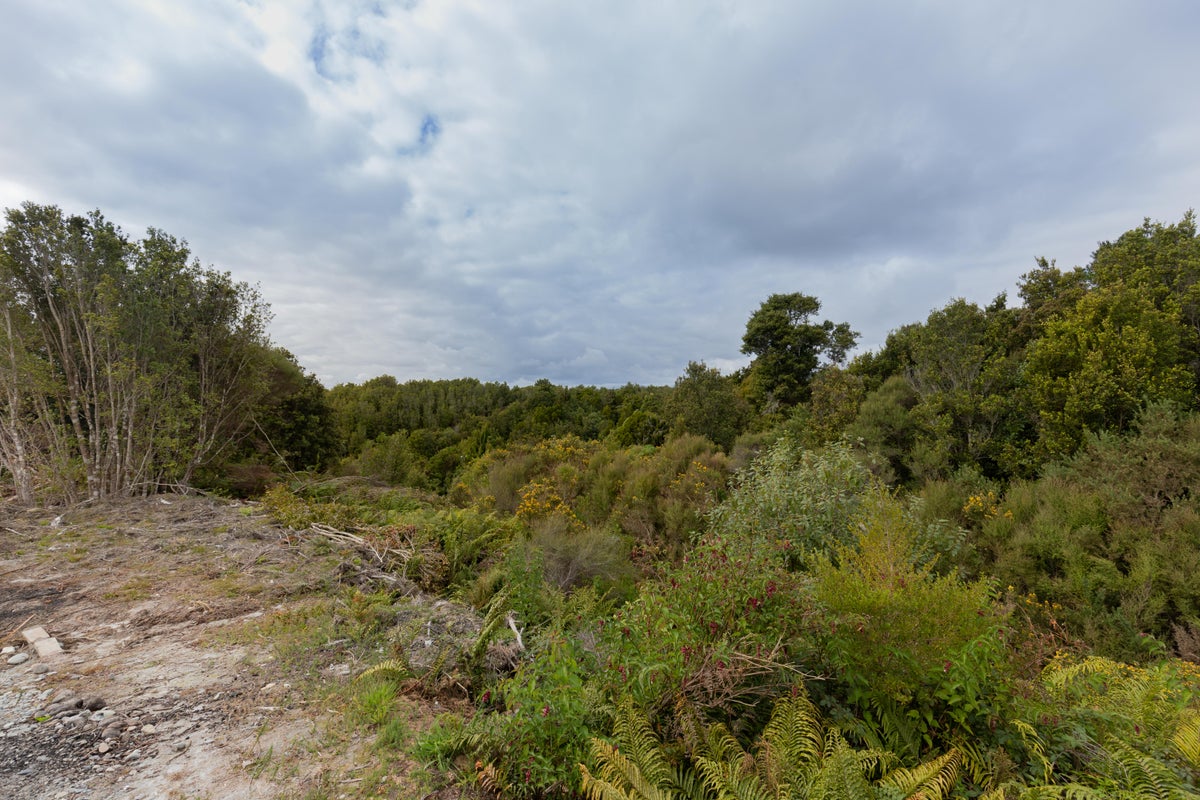 0 Brickfield Rd, Seaview, Hokitika - Carousel 2