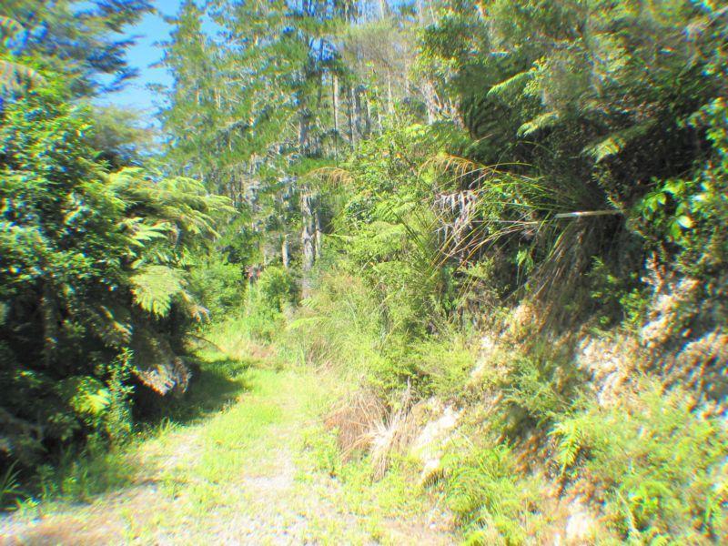 580A Hikuai Settlement Road, Hikuai - Carousel 1