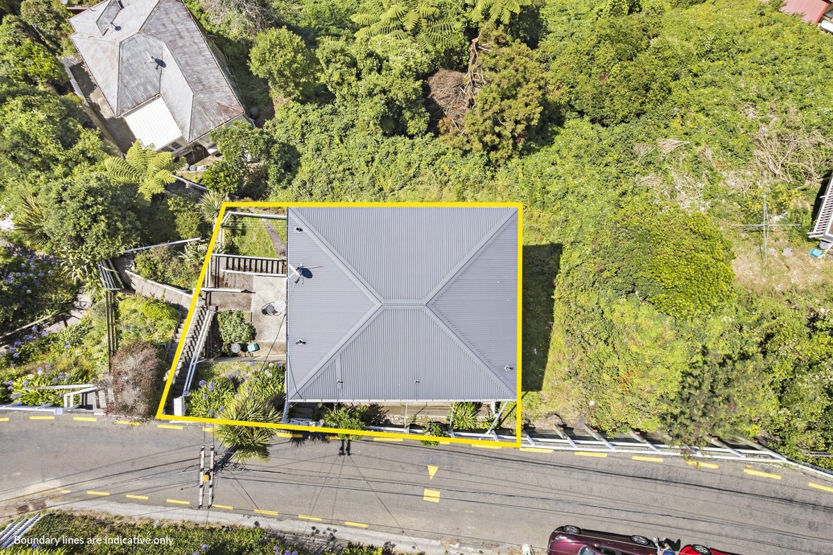 11 Mount Pleasant Road, Aro Valley, Wellington - Carousel 24