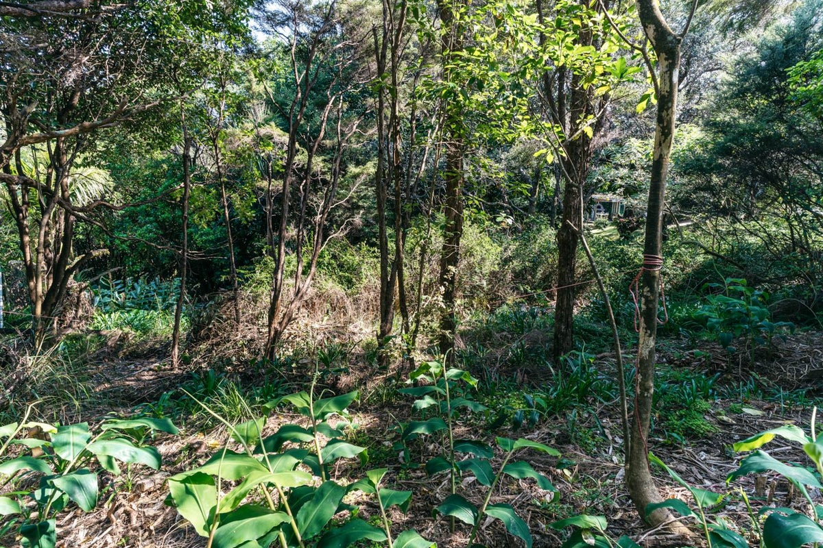 12 O'brien Road, Omiha, Waiheke Island - Carousel 1