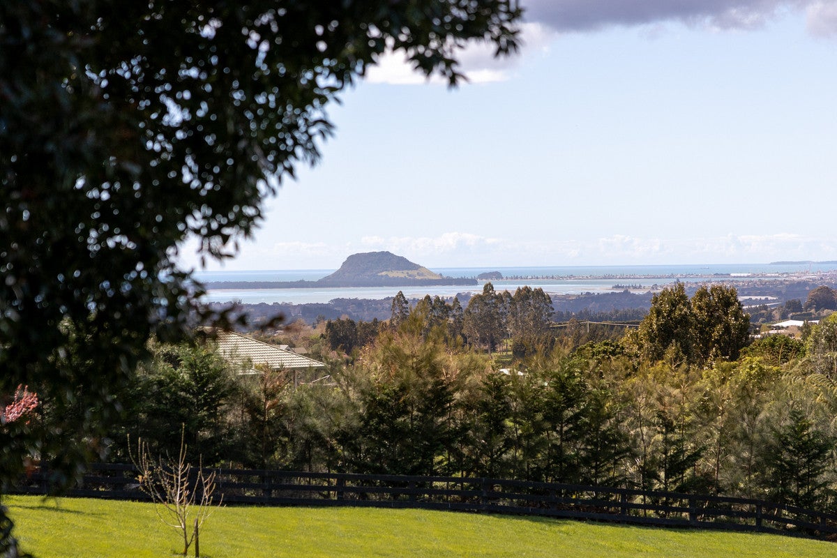 727 Esdaile Road, Whakamarama, Tauranga - Carousel 20
