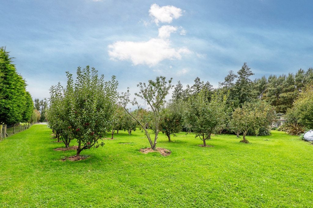 223 Quaifes Road, Halswell, Christchurch - Carousel 35