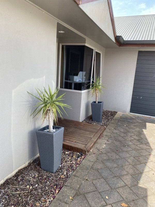 19 Lamia Grove, Papamoa Beach, Papamoa - Carousel 2