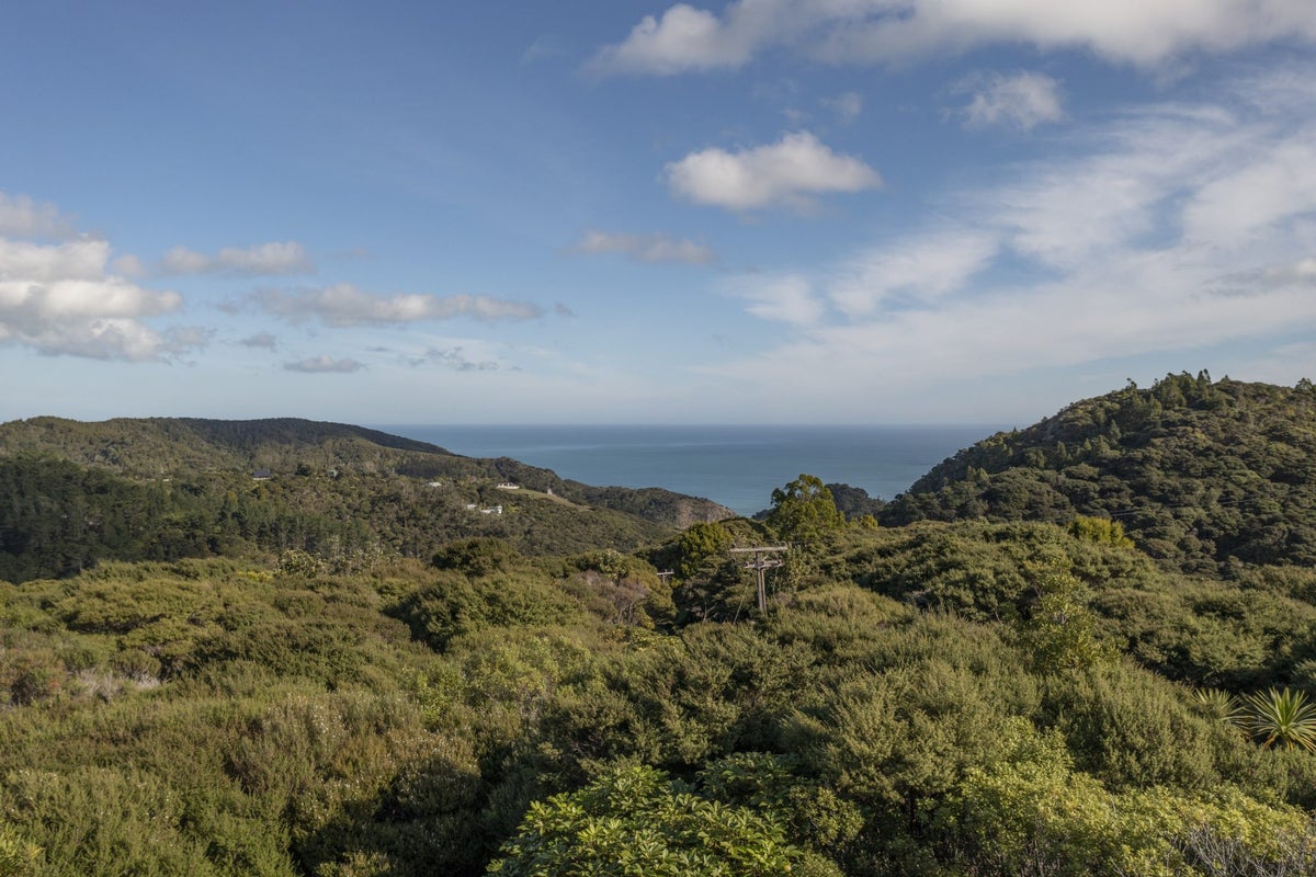 14 LA TROBE TRACK, KareKare, Auckland - Carousel 1