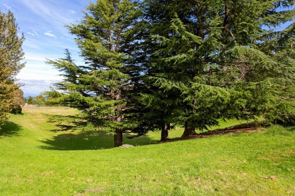 74 Birch Street, Hilltop, Taupo - Carousel 34