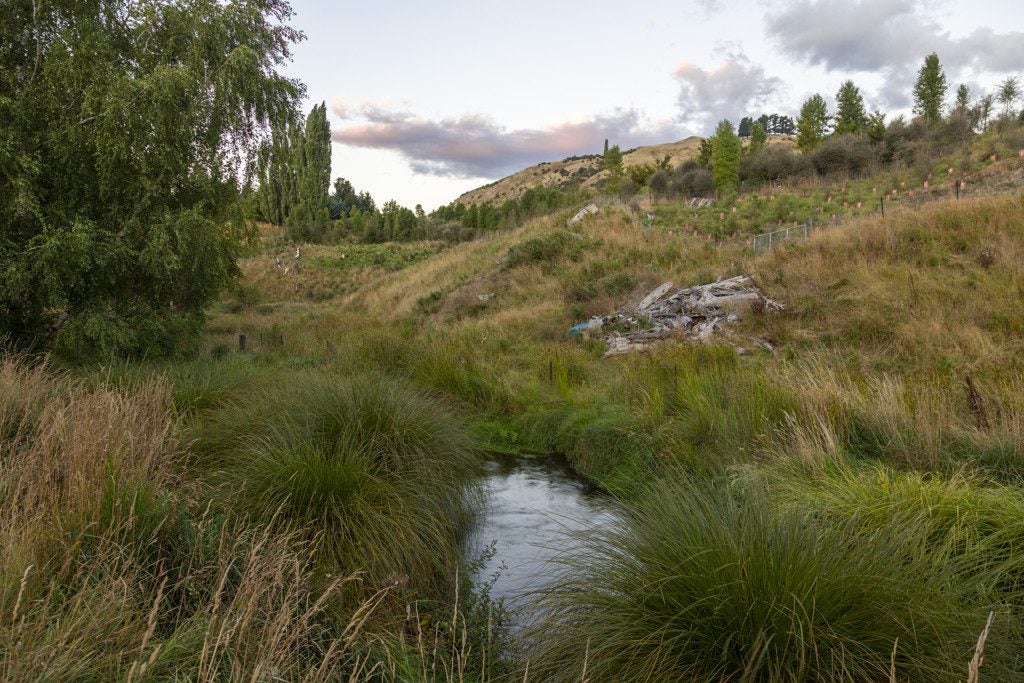 7 Longlands Street, Lake Hayes, Queenstown - Carousel 25