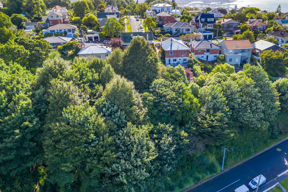 20A McGeorge Avenue, Mornington, Dunedin - Carousel 2