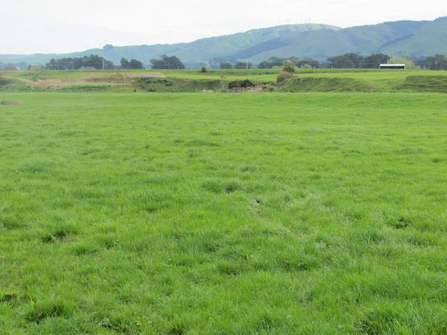 0 Gorge Road, Waimamaku, Kaikohe - Carousel 1