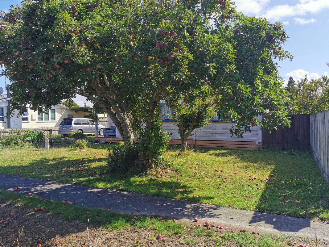 45 Somerville Street, Wairoa, Wairoa - Carousel 3