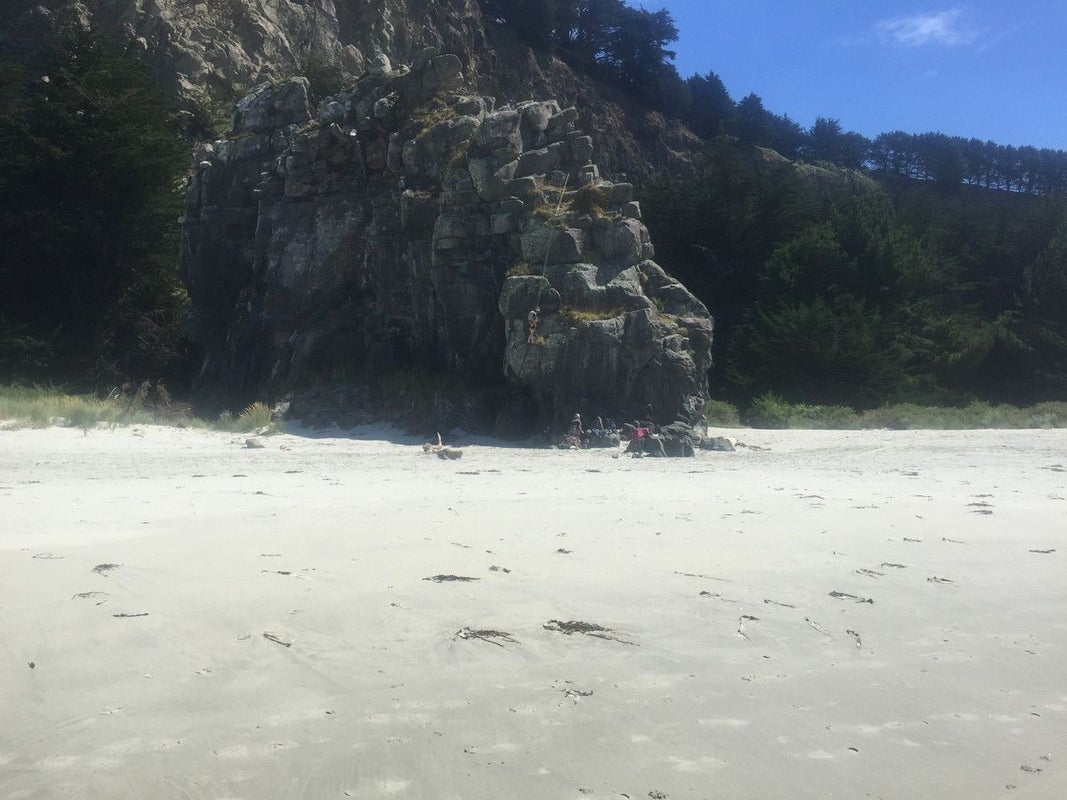 40 Driver Street, Long Beach, Port Chalmers - Carousel 8