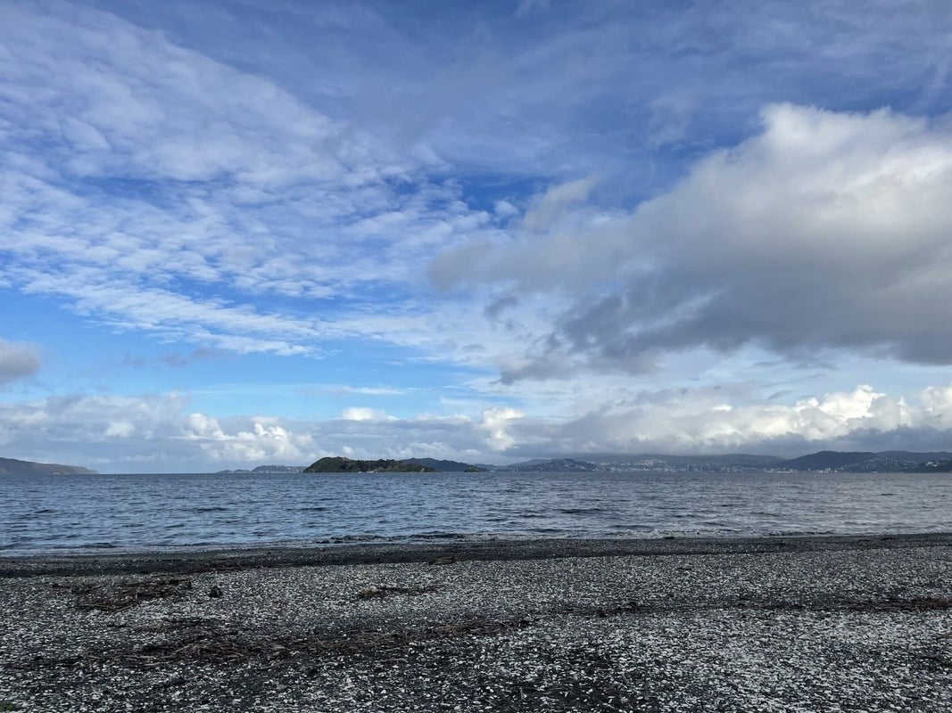 219 The Esplanade, Petone, Lower Hutt - Carousel 14