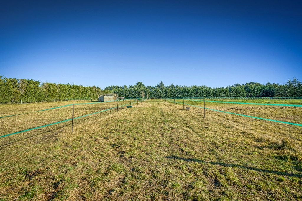 646 Sandy Knolls Road, Christchurch - Carousel 21