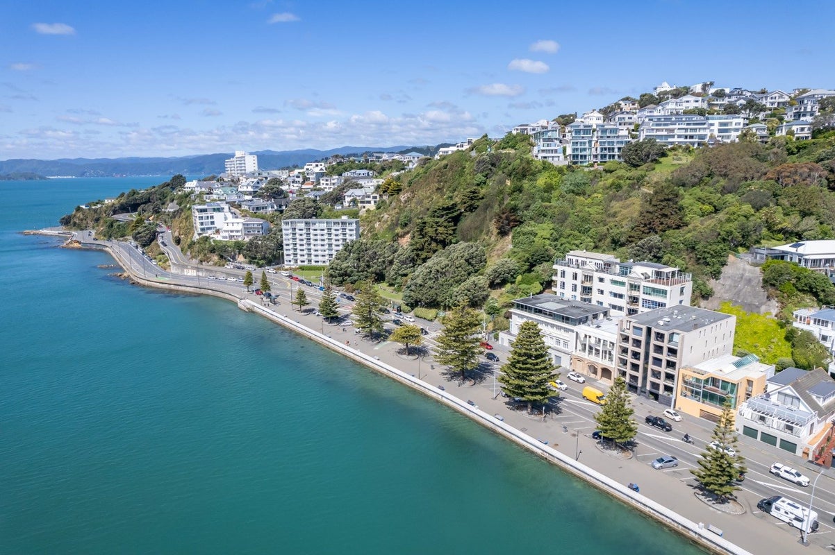 1/346 Oriental Parade, Oriental Bay, Wellington - Carousel 2