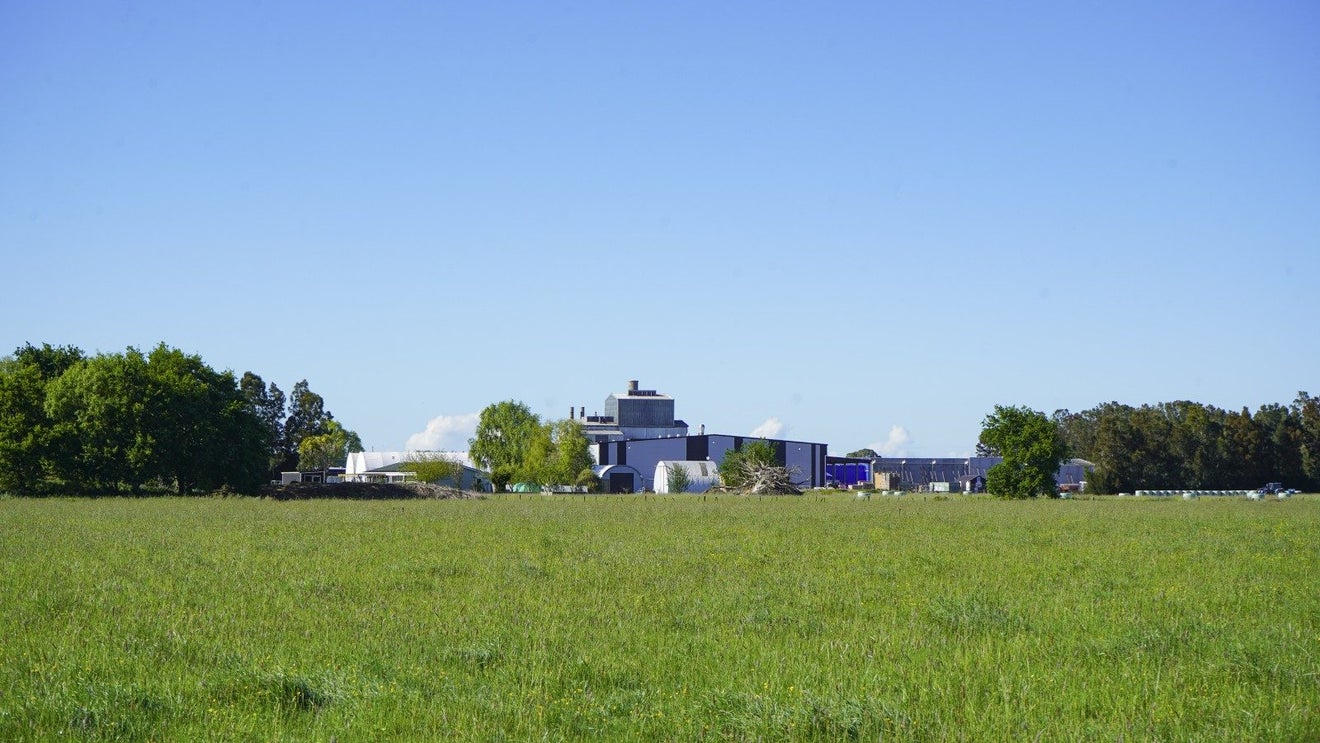 0 Kaikahu Road, Kerepehi, Paeroa - Carousel 6