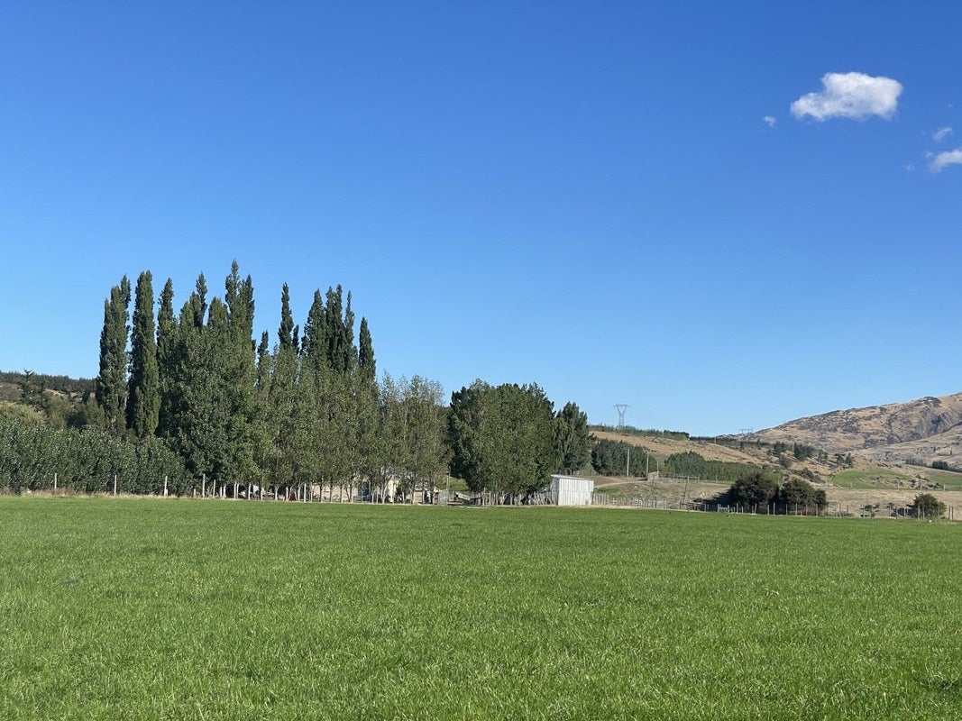 115 Gilmour Road, Roxburgh East, Roxburgh - Carousel 19