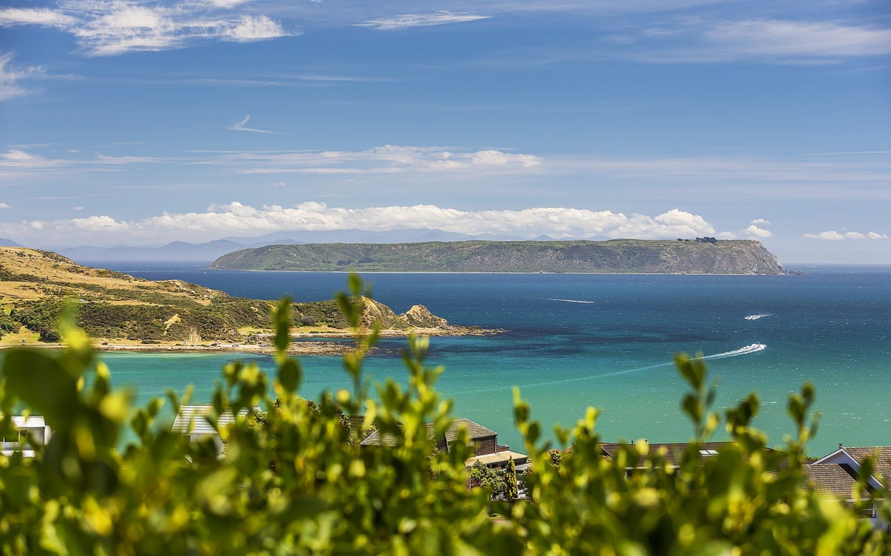 9 Tregear Place, Camborne, Porirua - Carousel 50