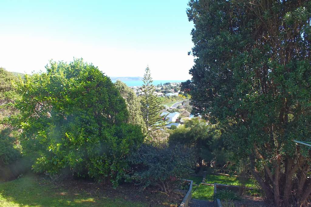 21 Spur Grove, Titahi Bay, Porirua - Carousel 14