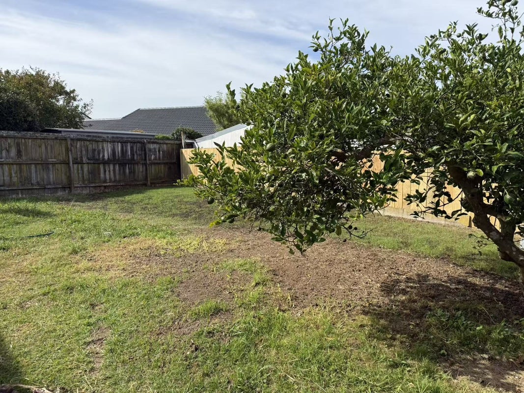 2/3 Hedge Row, Sunnyhills, Auckland - Carousel 18
