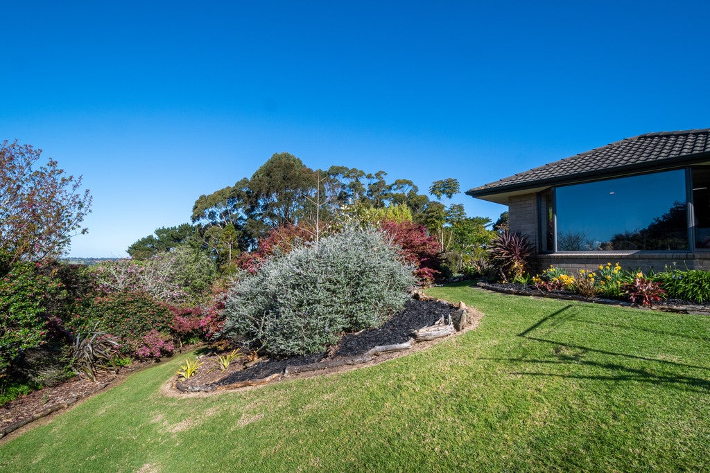 212A Annandale Road, Henderson - Carousel 19