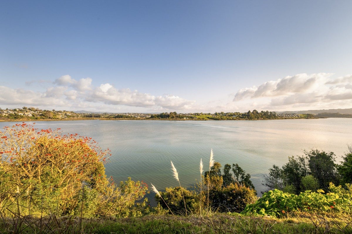 31 Rewarewa Place, Matua, Tauranga - Carousel 2