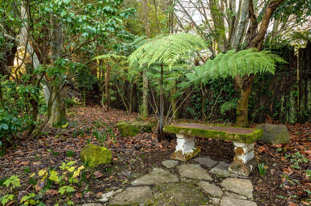 21A Moncur Drive, Springfield, Rotorua - Carousel 19