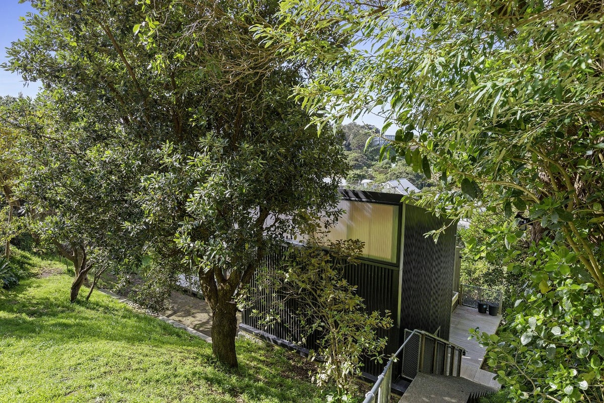 13 Hoggard Street, Vogeltown, Wellington - Carousel 1