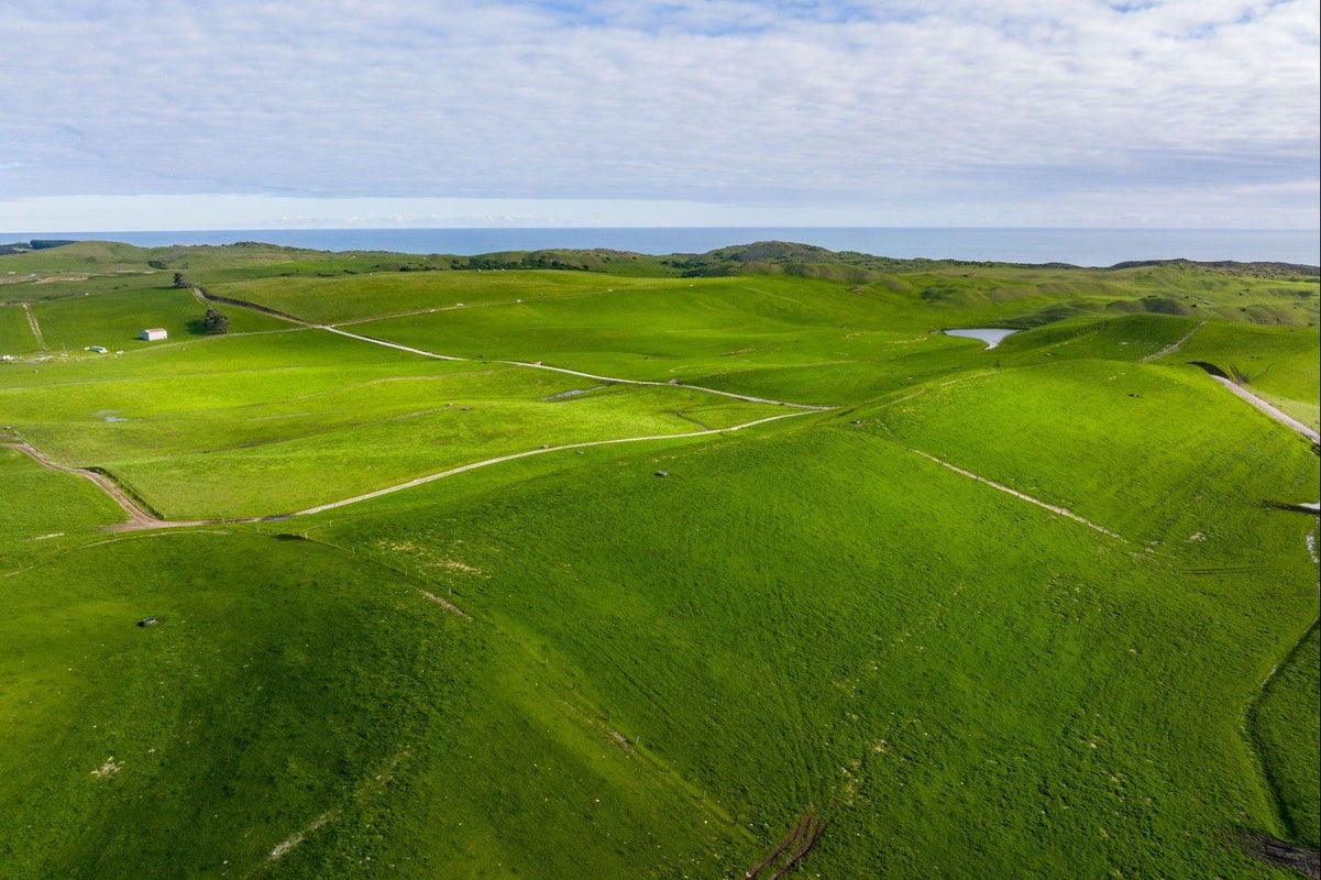 550 Mahuta Road, Mahuta - Carousel 1