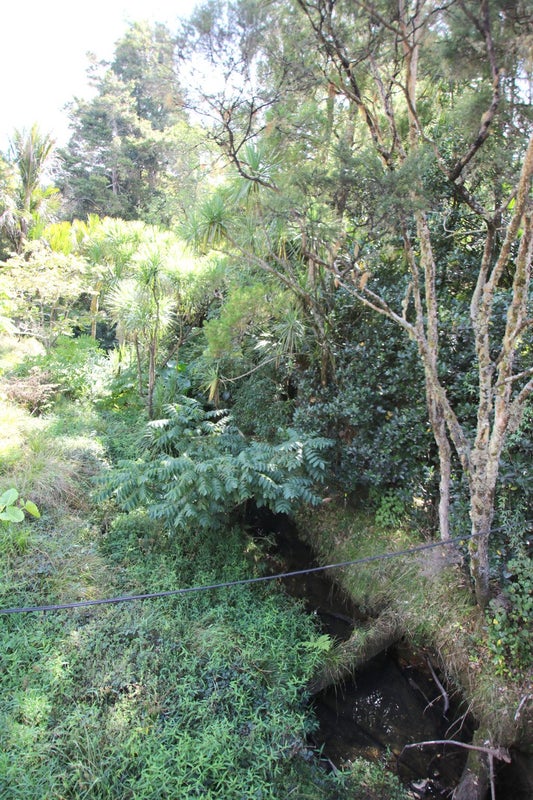 746 Parapara-Toatoa Road, Taipa, Kaitaia - Carousel 25