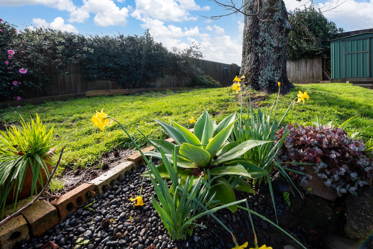 33B Gibraltar Street, Howick, Auckland - Carousel 27