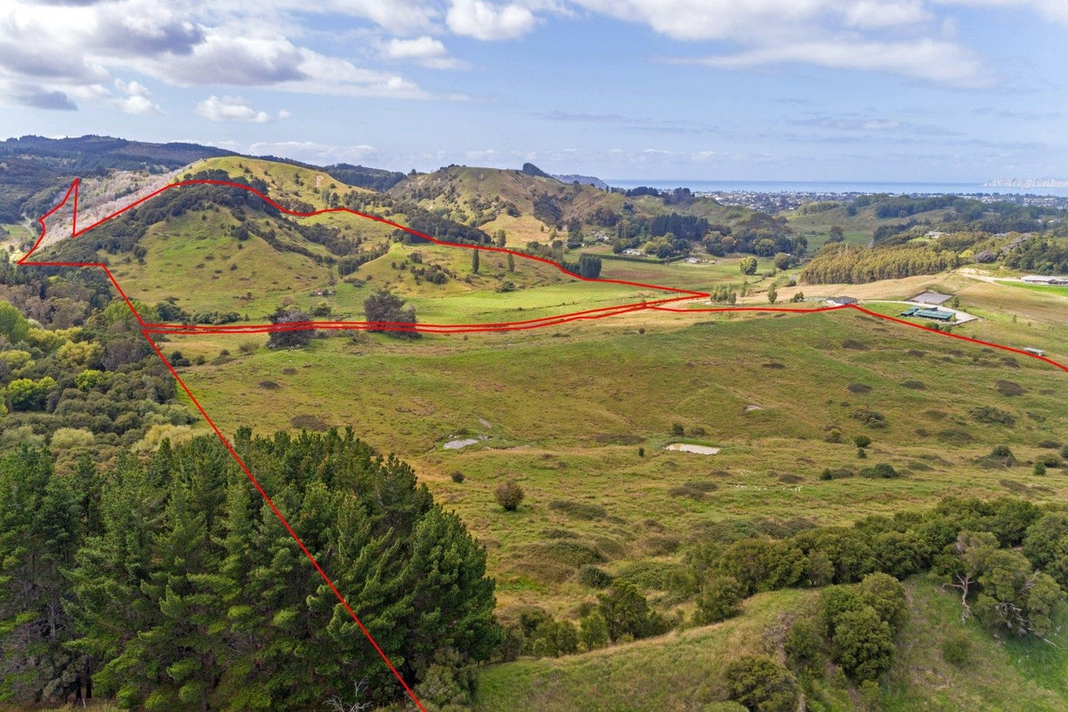 0 Matokitoki Valley Road, Matokitoki, Gisborne - Carousel 1