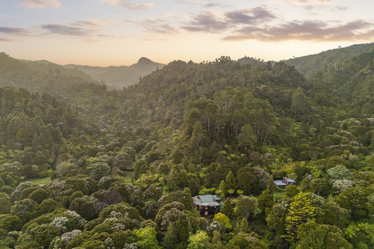 586 Tapu Coroglen Road, Thames - Carousel 34