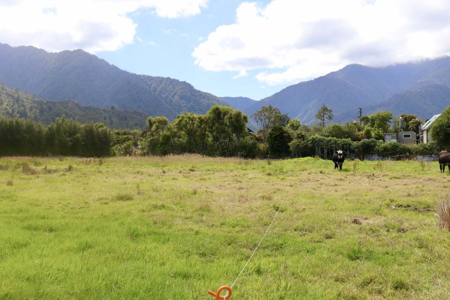 0 Bayfield Street, Seddonville, Westport - Carousel 2