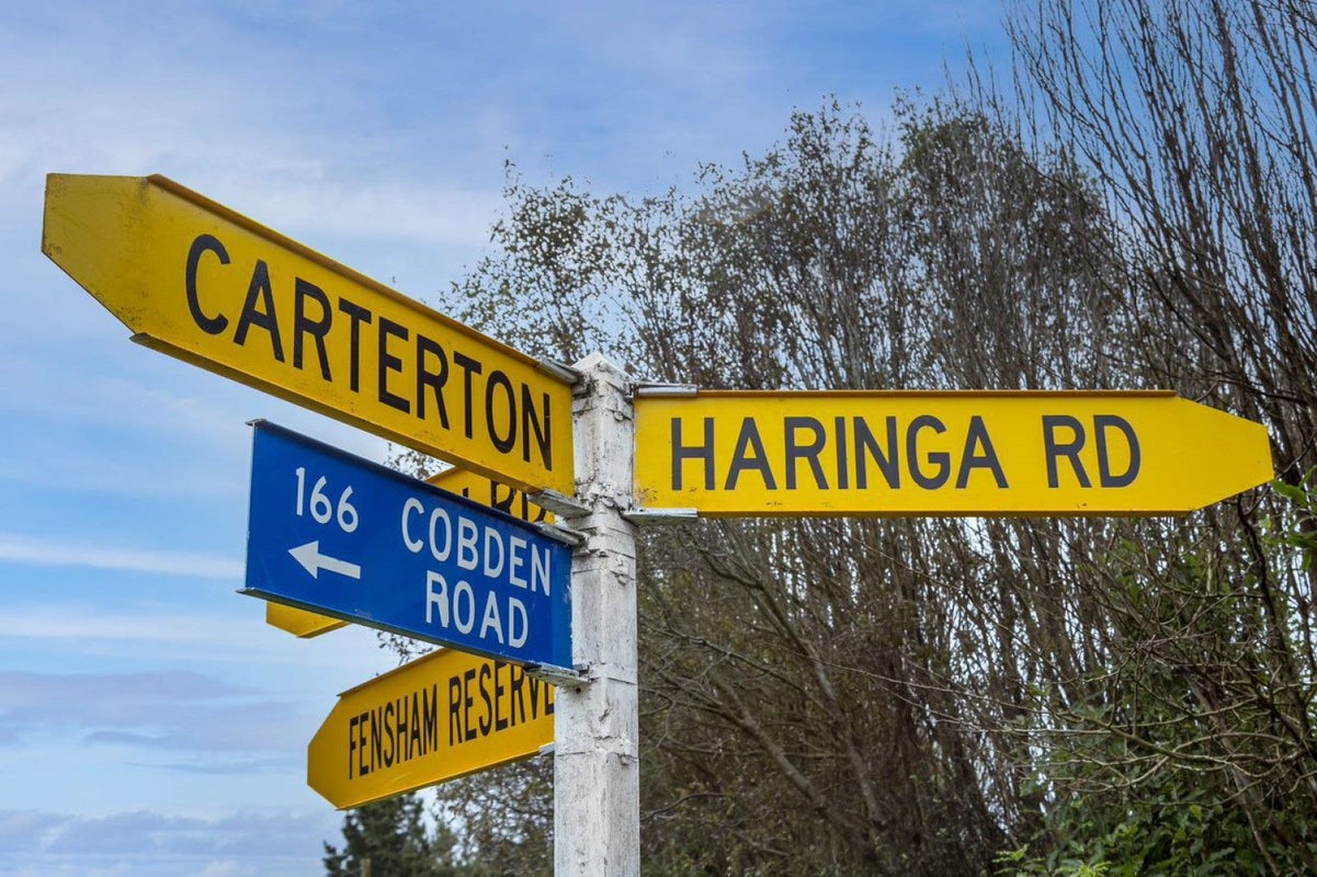 156 Haringa Road, Carrington - Carousel 9