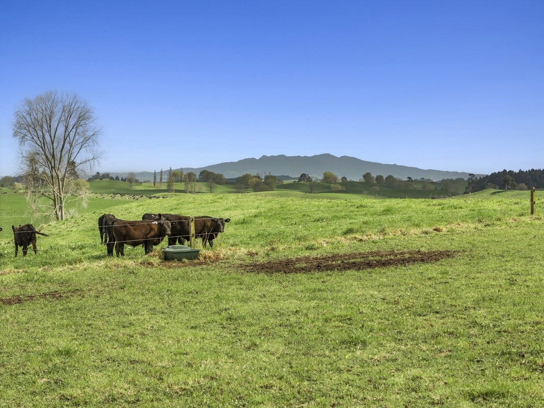 557 Wiltsdown Road, Wiltsdown, Putaruru - Carousel 7