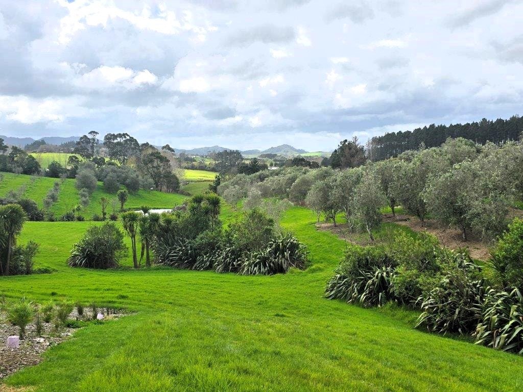 17 Old Waipu Road North, Mangawhai, Mangawhai - Carousel 21