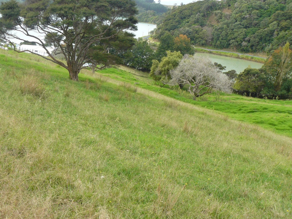 5 Willow Point Road, Te Kuiti - Carousel 2