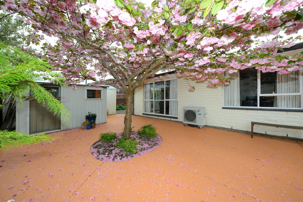 1/18 Apollo Place, Papanui, Christchurch - Carousel 1