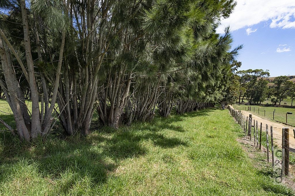 306 Taiapa Road, Muriwai Valley, Rodney - Carousel 2
