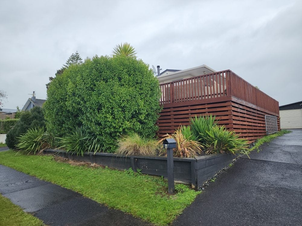 6 Edith Place, Dinsdale, Hamilton - Carousel 1