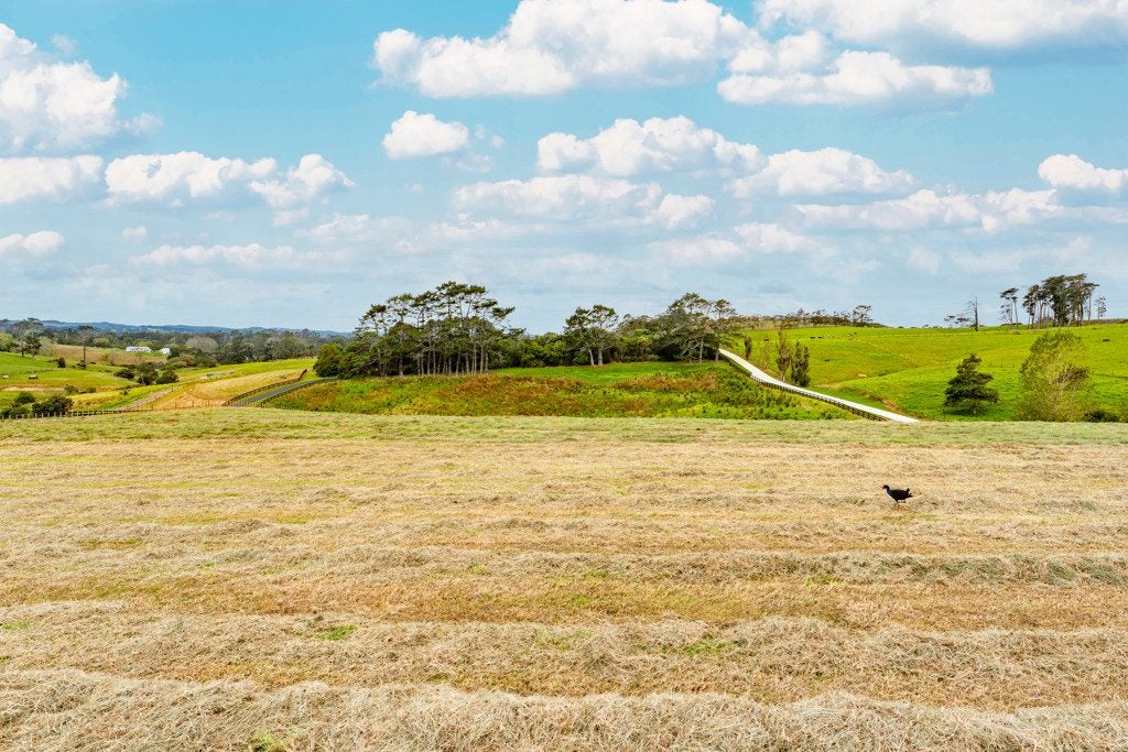 259 Tawa Road, Kumeu - Carousel 5