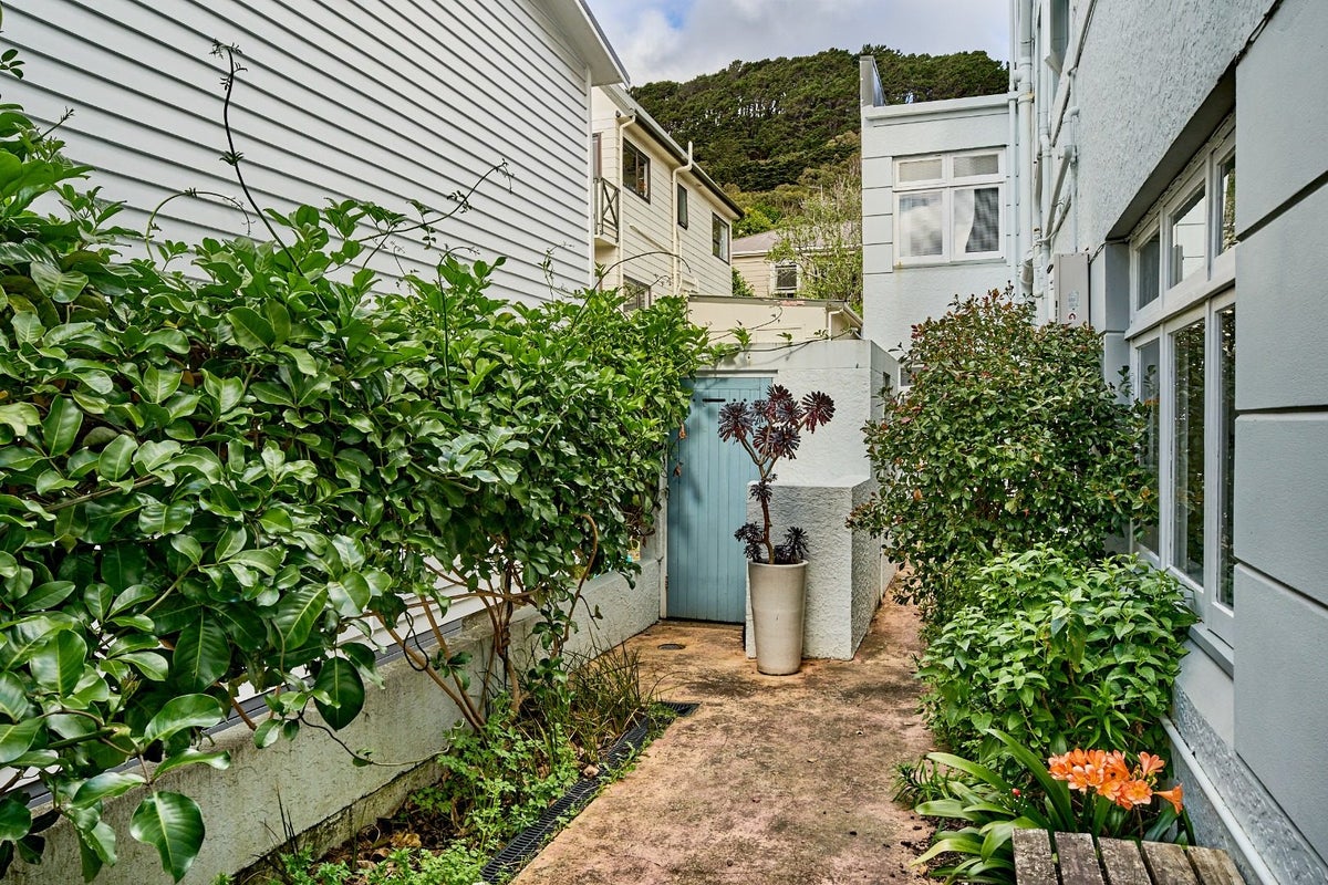 3/1 Rixon Grove, Mount Victoria, Wellington - Carousel 11